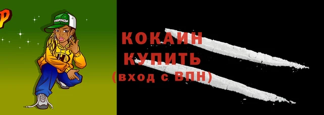 спайс Магас
