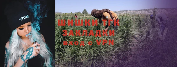 спайс Магас