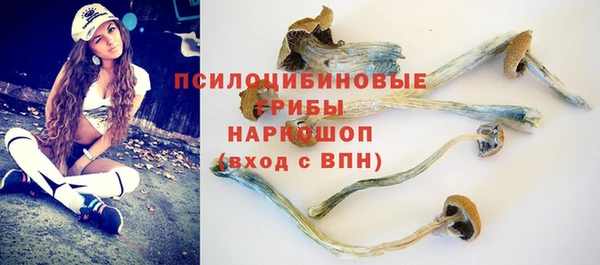 МДПВ Майский
