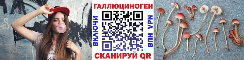 купить наркотики сайты  блэк спрут зеркало  Псилоцибиновые грибы ЛСД  Перевоз 